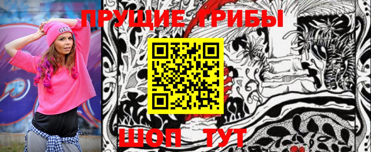 Галлюциногенные грибы Psilocybine cubensis Тихорецк
