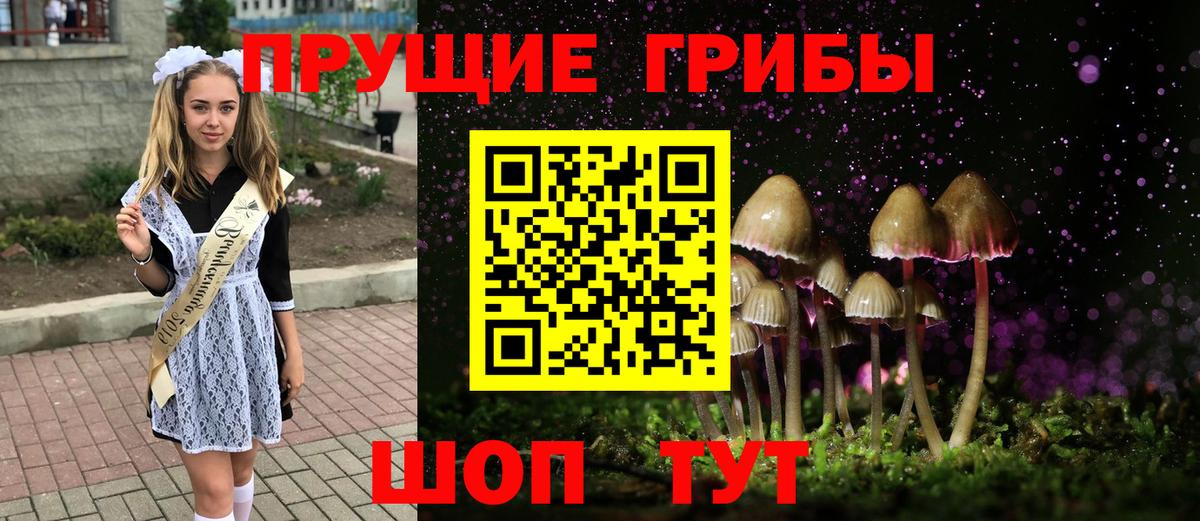 Псилоцибиновые грибы Psilocybe  Вход с VPN  Тихорецк  Галлюциногенные грибы GOLDEN TEACHER 